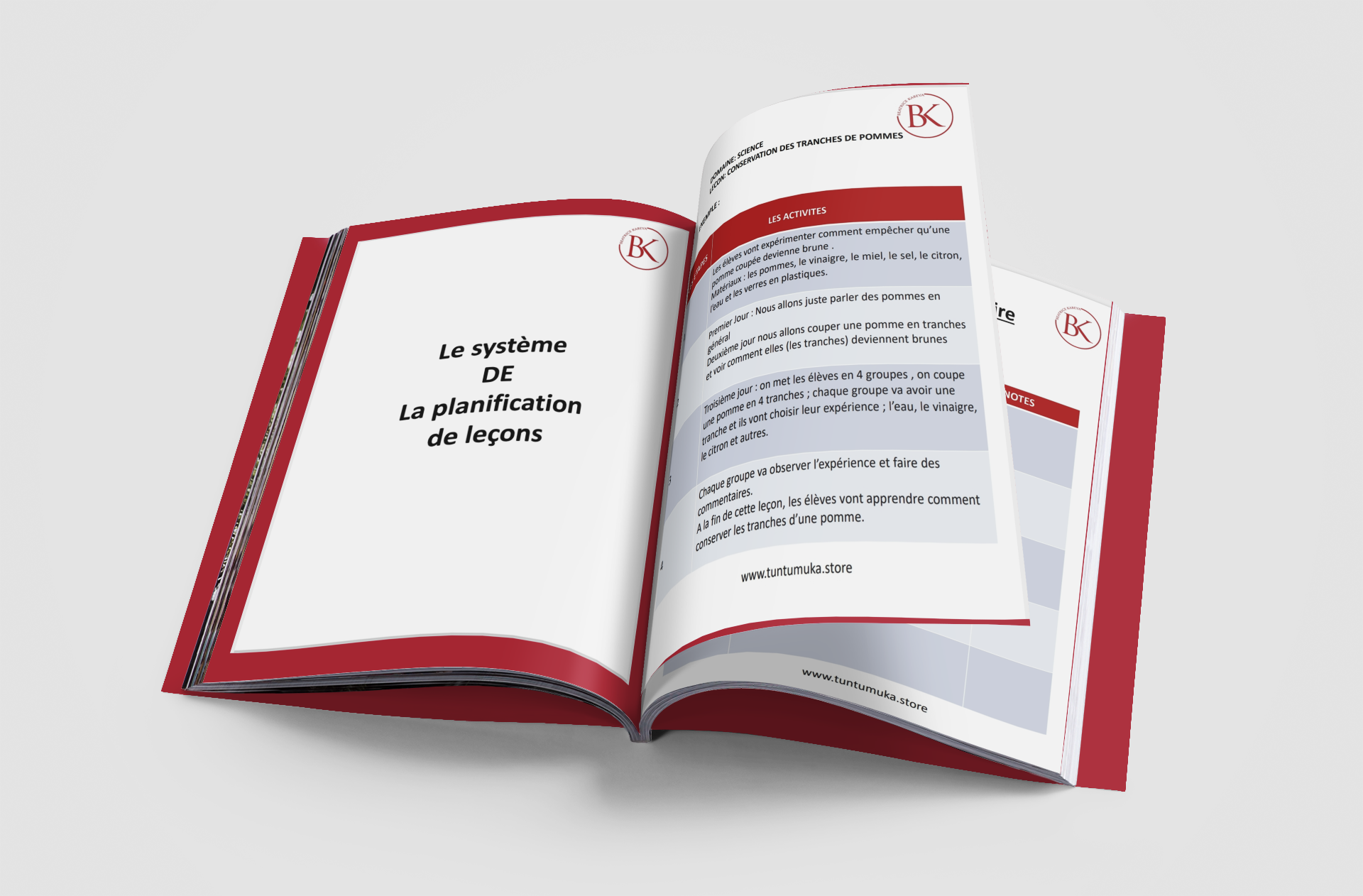 The Printable Annual Planner French Version